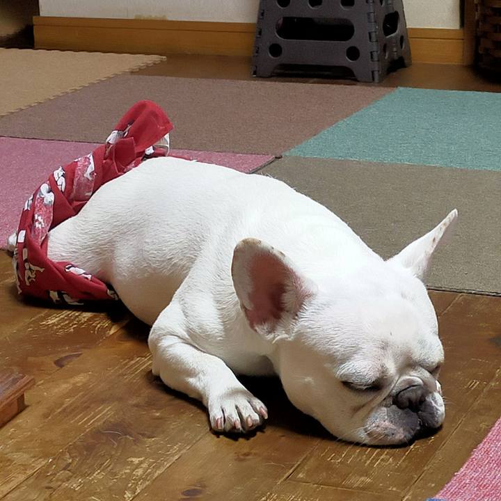 23f16c1f e999 4708 a6f7 f6df43c399c1 1656325283019