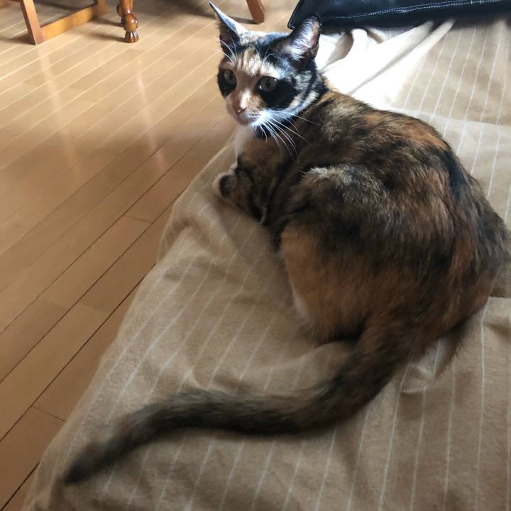 23f17e4c 8f5b 4834 9000 d5844841e327 1581909544216