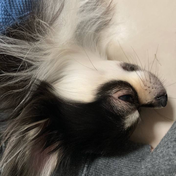 23f1a59f ad88 4f63 af70 50329def8072 1616247822087