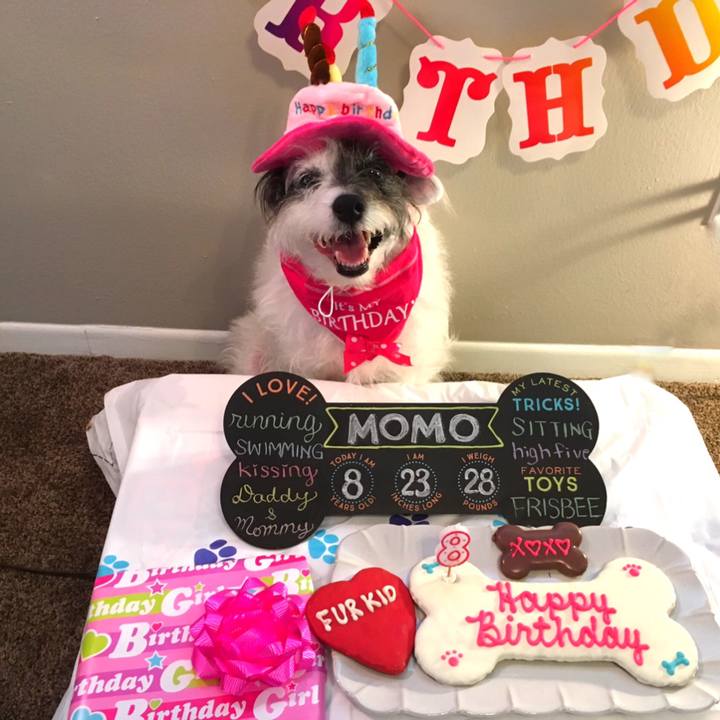 23f1bac1 0cca 47a1 89ee a84af7b74e7c 1549838455366