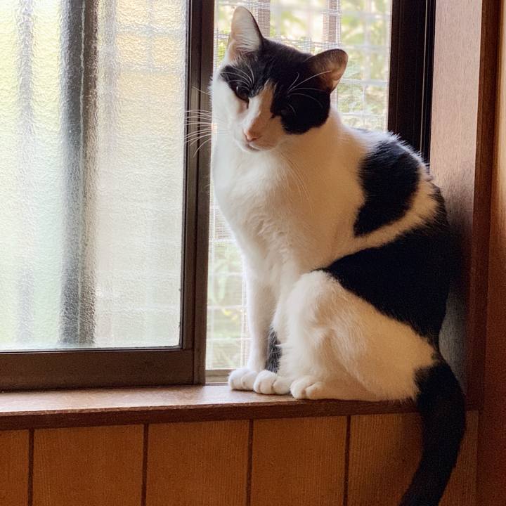 23f1d70b b7ae 4c16 9f3f e4e0bf919900 1541556933454