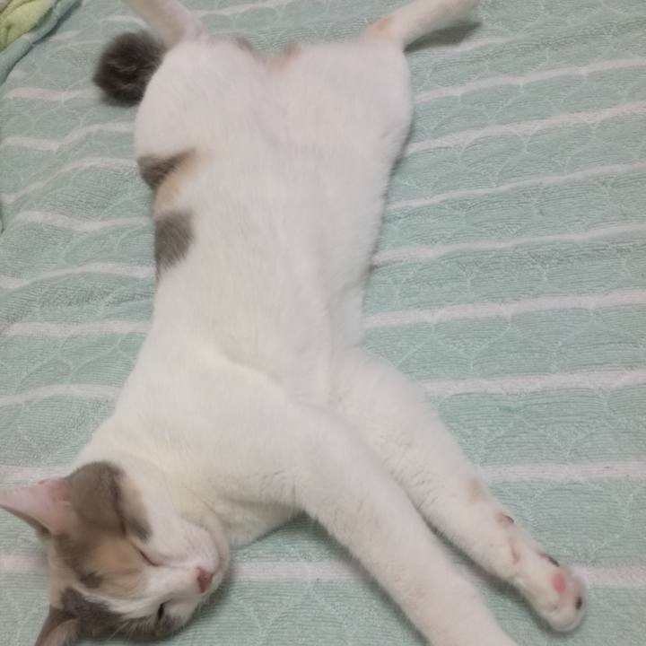 23f1f525 e1b3 480b 85e1 67ba54000ca8 1531094405850