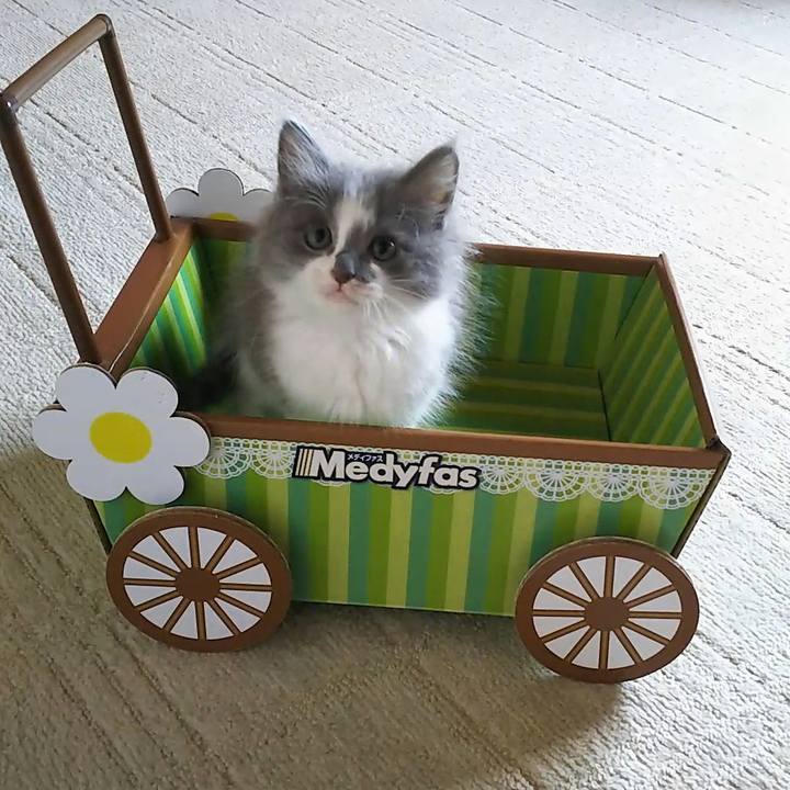 23f2067a ec43 46ff 8be0 2efade0c6b0a 1560387812232