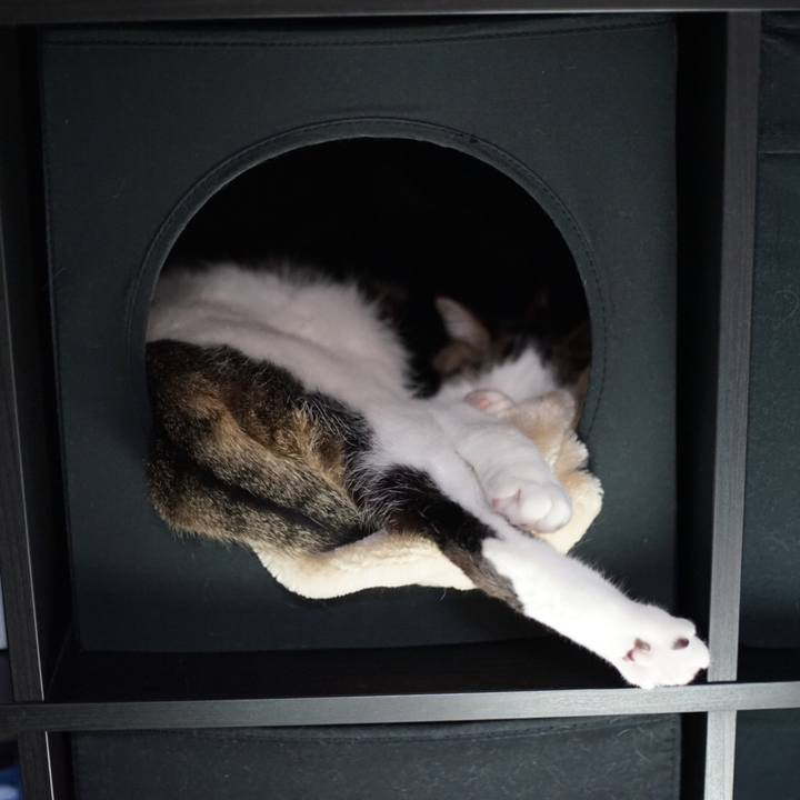 23f2170c 528f 4e3a b4aa 5d428921dc73 1518328700153