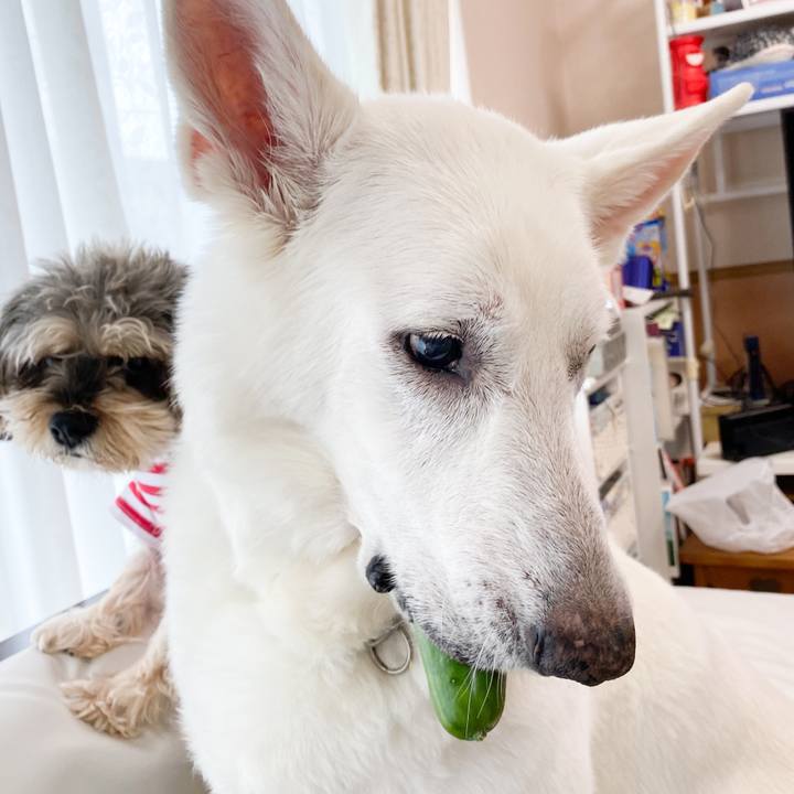 23f23a94 422f 44e3 9663 ff88d1be722c 1658118678915