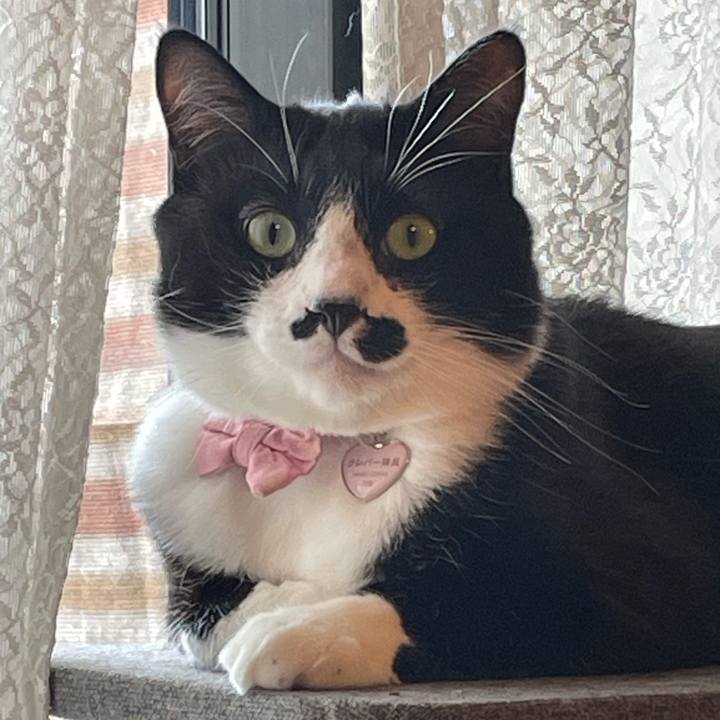 23f264b5 b24d 4474 81e8 bd7da51ba61e 1745805289713