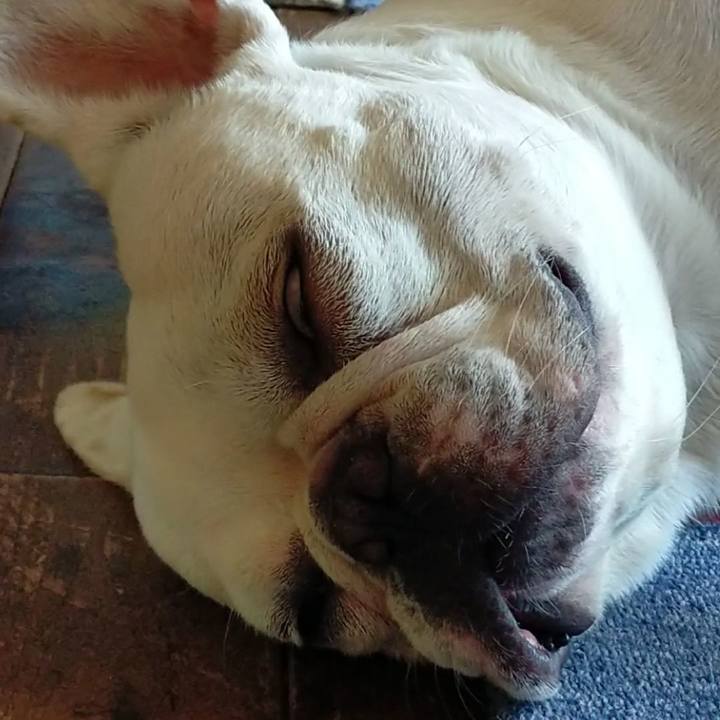 23f290b3 abd2 4a23 a7f5 d1300c805b88 1660086920779