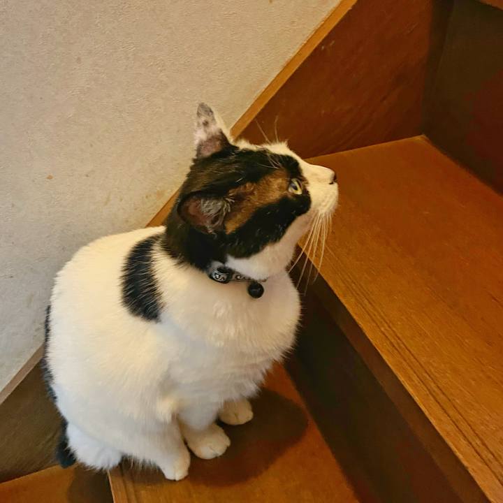 23f2b155 ef98 4d75 83b1 03372cb518f1 1753656726580