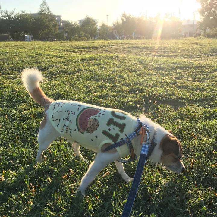 23f2dc42 4518 483d 814e f0cc4fc09083 1534629114917