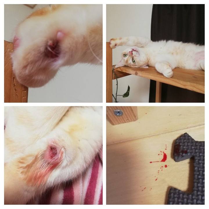 23f31daf 4bc1 4522 a89e b55e0af68850 1661487486384