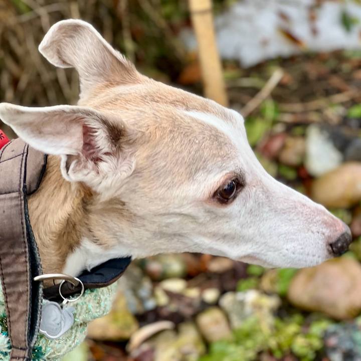 23f332d4 0e79 4f00 8835 8d3e08ee06eb 1774339711185