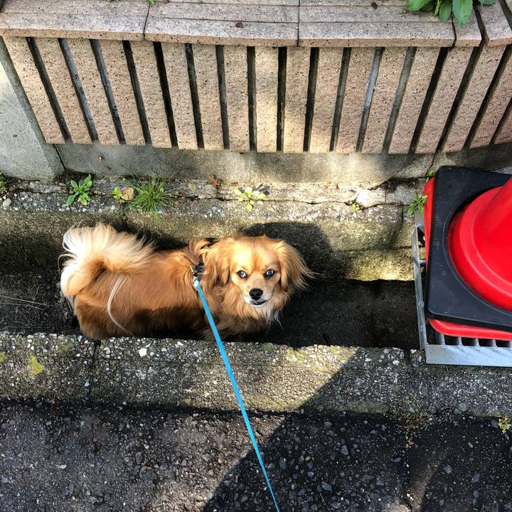 23f35b4d 7498 47b1 a5da 04a6c2c6ed94 1556753834846