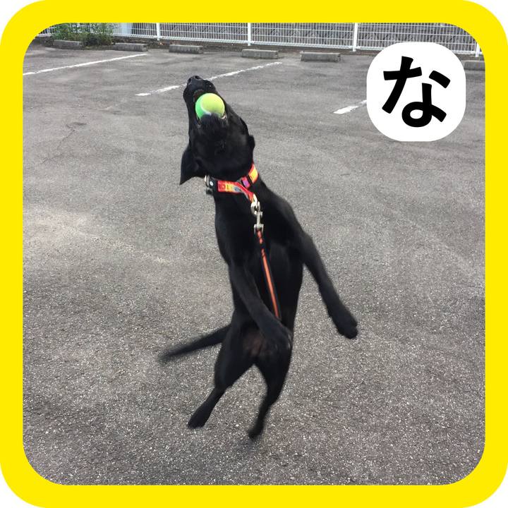 23f366c1 21f7 47d1 af3c 4762aad7d508 1514803676153