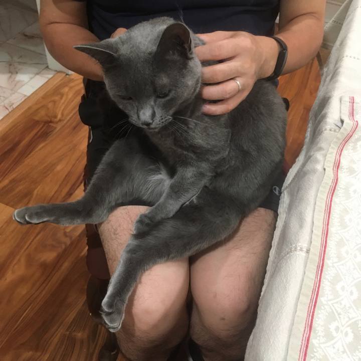 23f36e95 bae3 4a25 9a20 67b59e8ee9fc 1660955186991