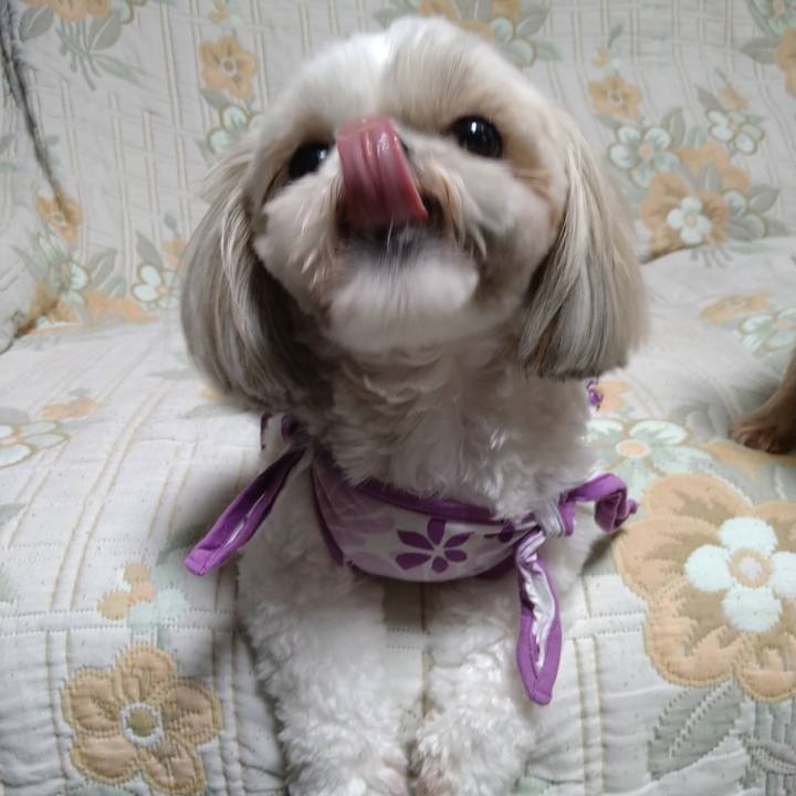 23f38bfb 19cc 4f0e bf36 7e94c52ca649 1630280606836