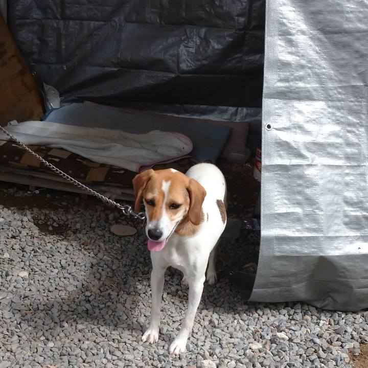 23f38ebe 8b5d 4382 b31f 5b854183102e 1595916462796