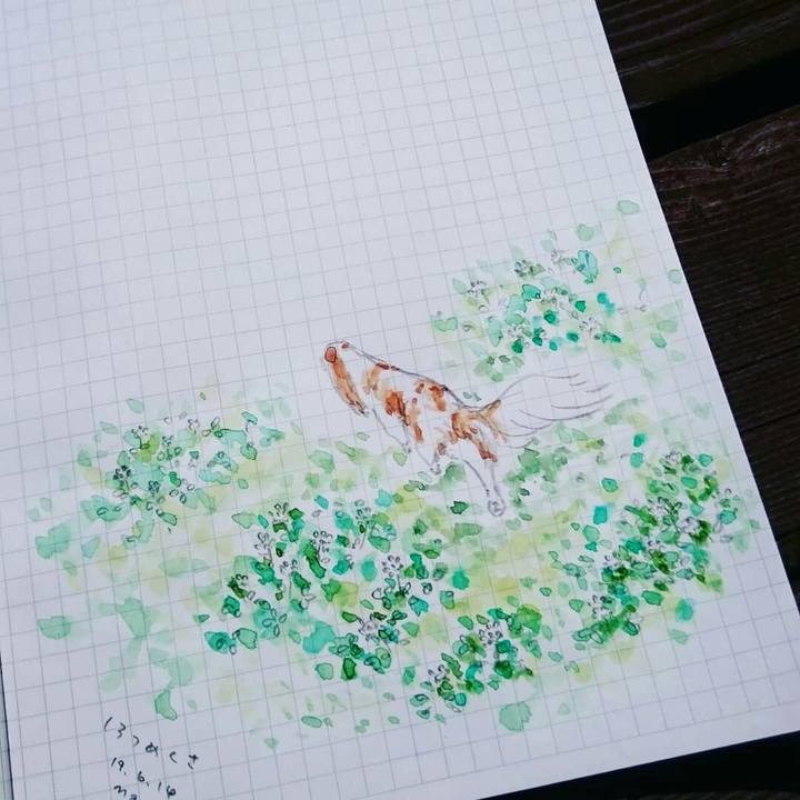 23f39e86 f0bd 49d8 bb15 3c7eea539cee 1560473877155