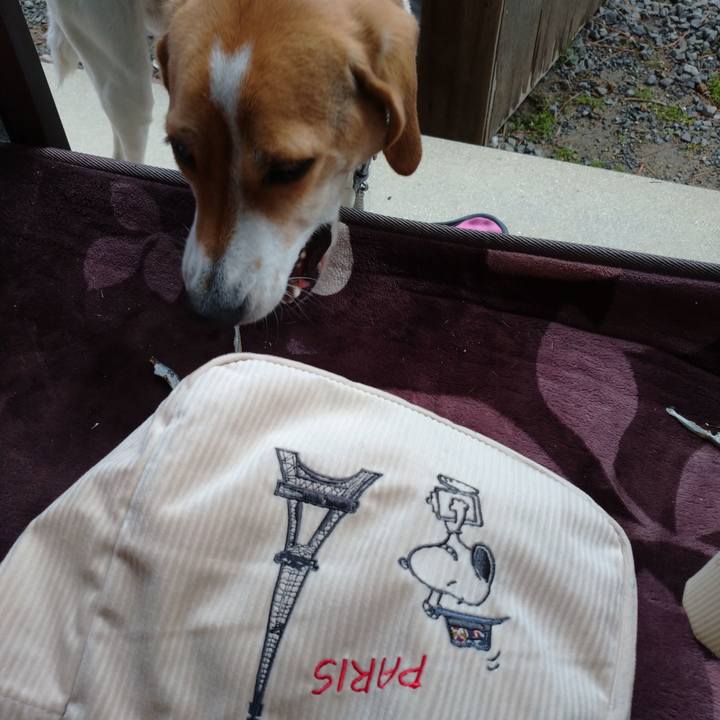 23f3a26d b5df 494b bfee 98fb7da0dae2 1579316062896