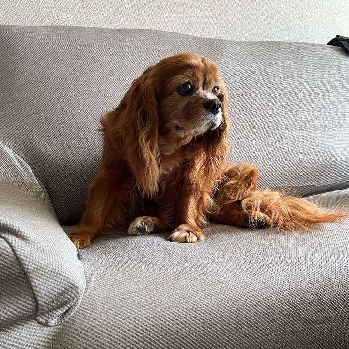 23f3d412 eba9 4418 966b 42a5d9e3fd52 1750506840826