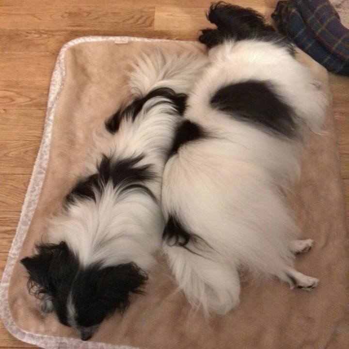 23f44cf8 6811 4f6f 85aa f43971036593 1537361060575