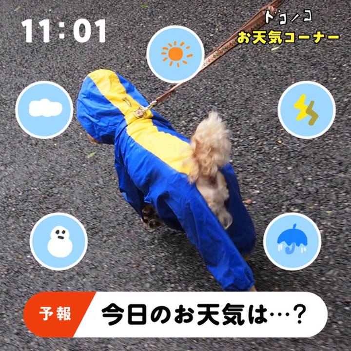 23f47ae8 717c 4ea6 9f9e c9afeb863cfa 1781921507469