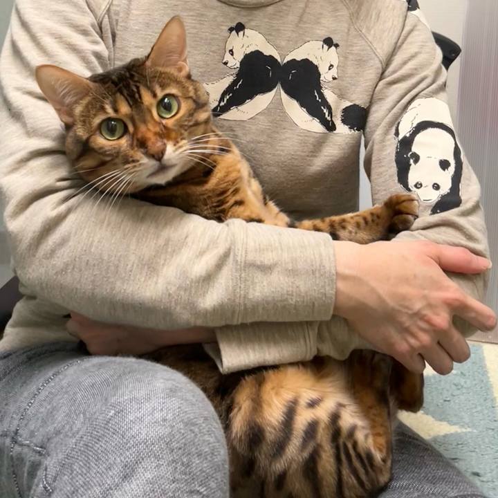 23f48800 bf6d 4138 82b9 8c385ce26b8f 1636500948310