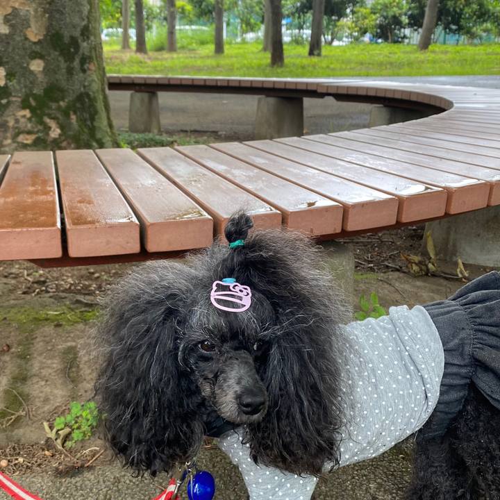 23f4932f fc4b 44ab 8617 8b0f18de4173 1685328968997