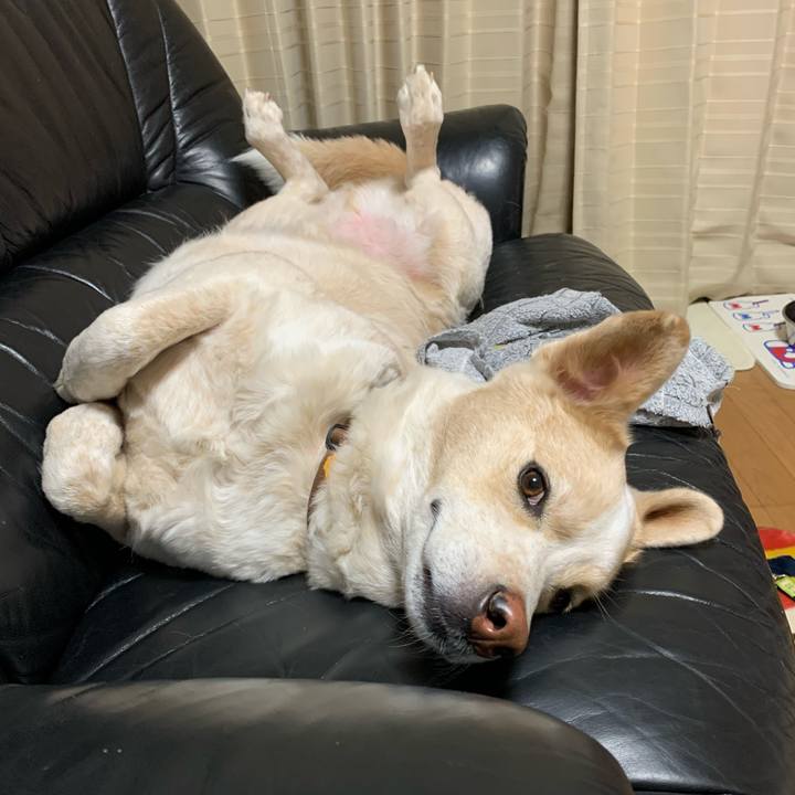 23f4a06f e579 4ef5 ab58 679ed7bc82d4 1578929316653