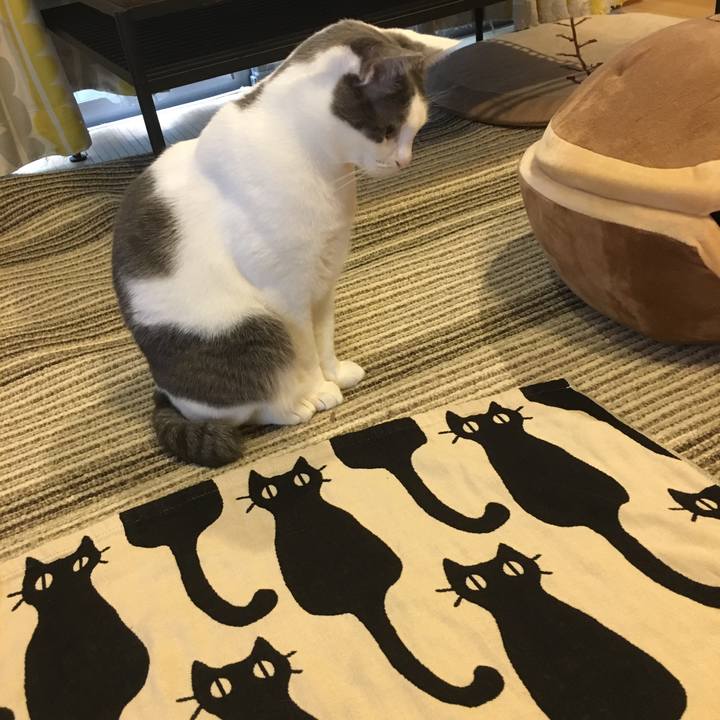 23f4b24c 2c62 471b 91e4 eda322b78716 1511691232111