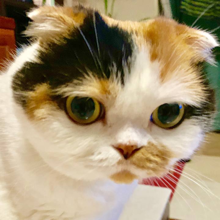 23f4b5f0 7c6d 41b8 84c7 a11c2589a1a6 1563805936415