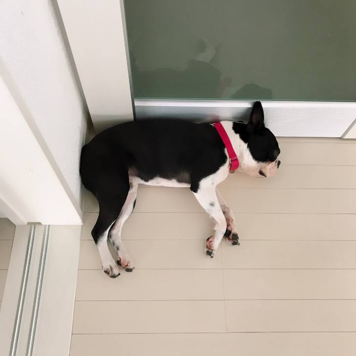 23f4bcfe 511e 44bc ae96 d1c8cea9cad9 1524359257573