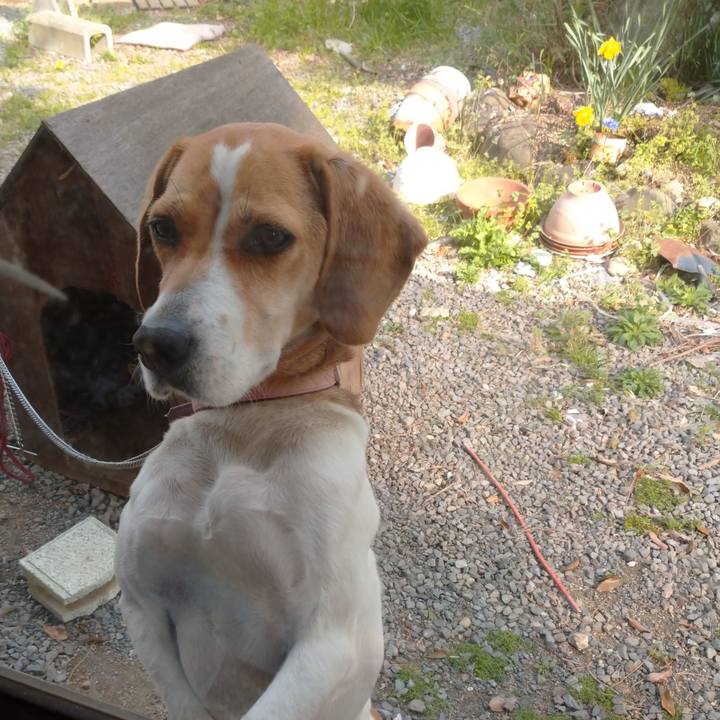 23f4bf8c f1f3 4bef b427 425462f491a8 1585899836803