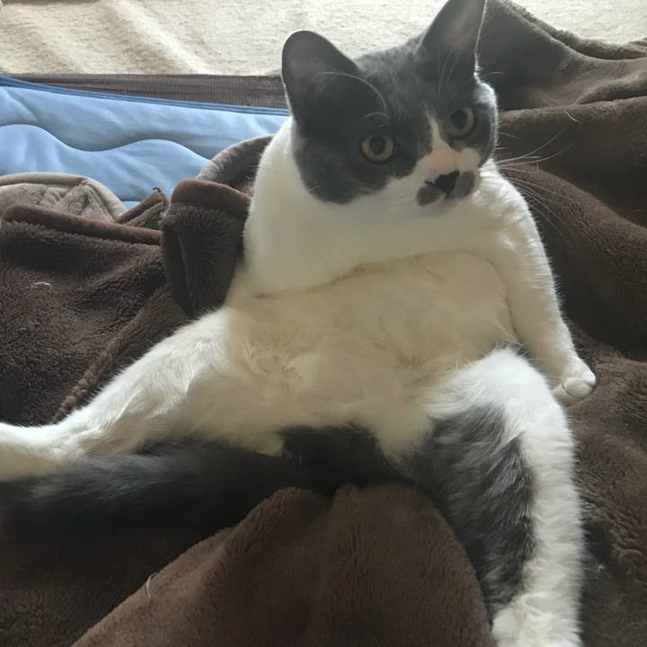 23f4cbd4 5e23 4ecd b48d 87b2b3924db7 1624753089727