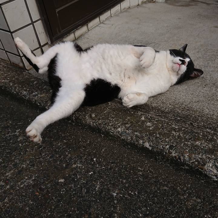 23f4e7e9 4a81 4c68 8c86 5807dfc3d796 1665811043112