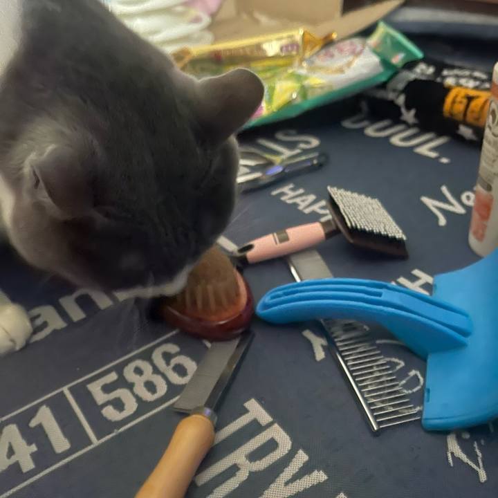 23f53e21 15ef 4bb2 84c6 6878f78dff16 1711242119314