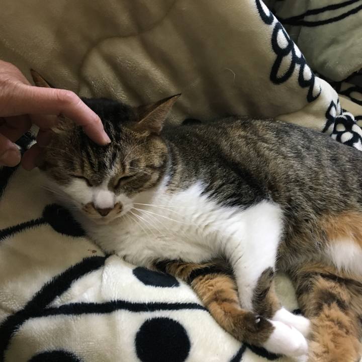 23f5528c 9d1a 40bb a86c 7eab257d23b7 1544265141766