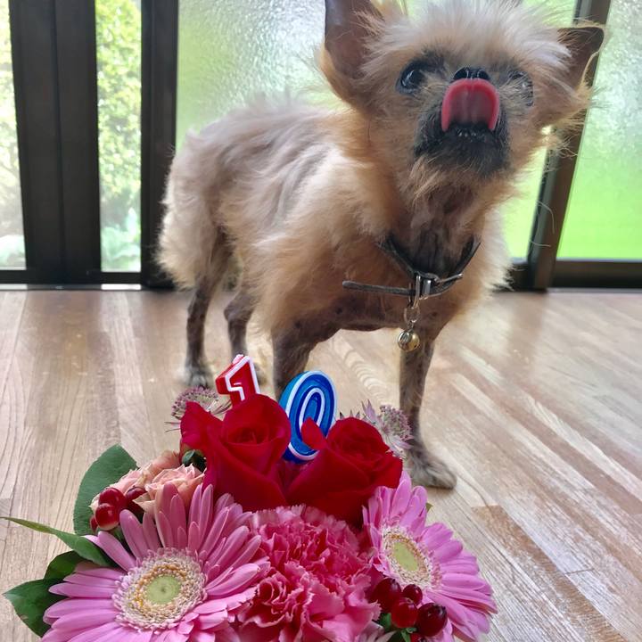 23f59289 4866 4a7e aef1 8b421e07314c 1529542108123