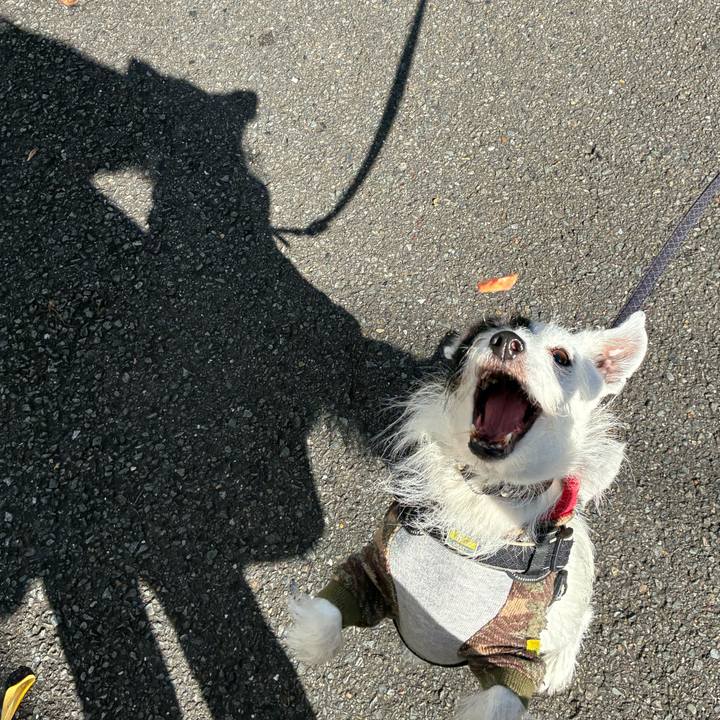 23f5b5da 38cf 43e7 9f45 1c4e6e9a1187 1763340728495