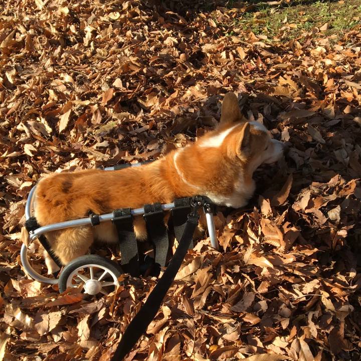 23f5e908 a869 4816 af3a 088f61881aef 1638928898869