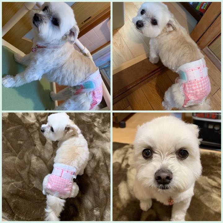 23f64766 2ba1 434d a2af 9a9fac24ecd6 1642394064333