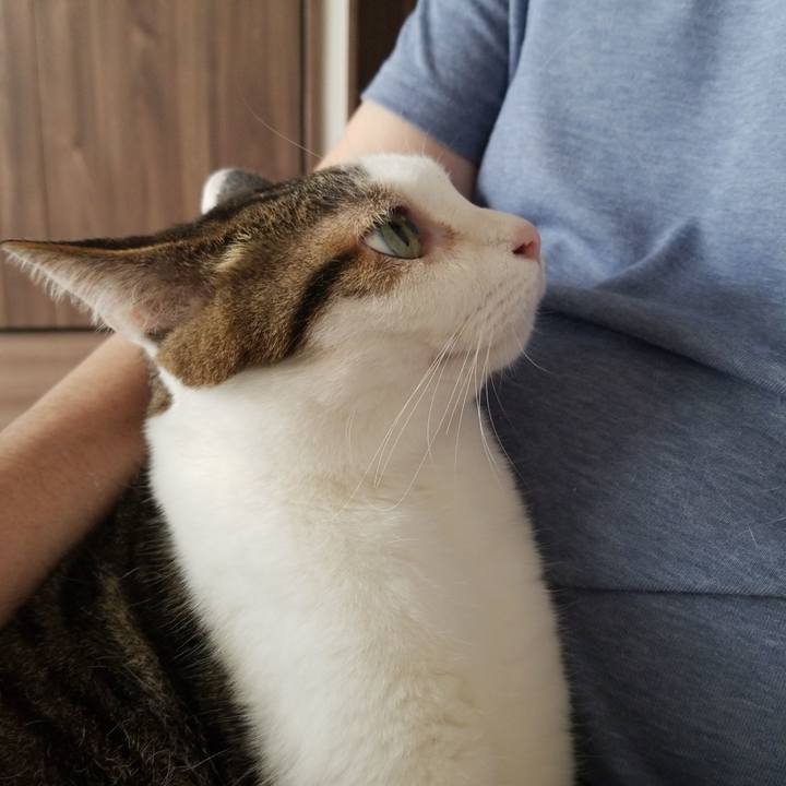 23f66285 4fb0 4bb4 93ec ec19812cd8ca 1588633233451