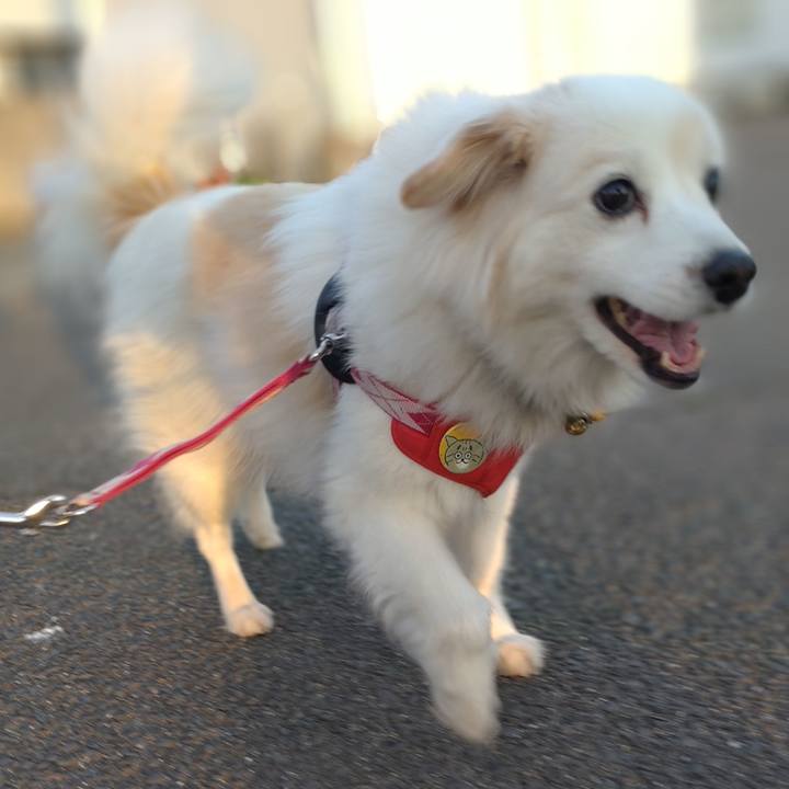 23f67d8e e1e8 441c 956e 2ecc5fccdf9f 1647468336557