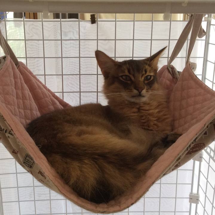 23f6ba9f 97fb 46fe 9ab5 9650afce45b1 1587508972412