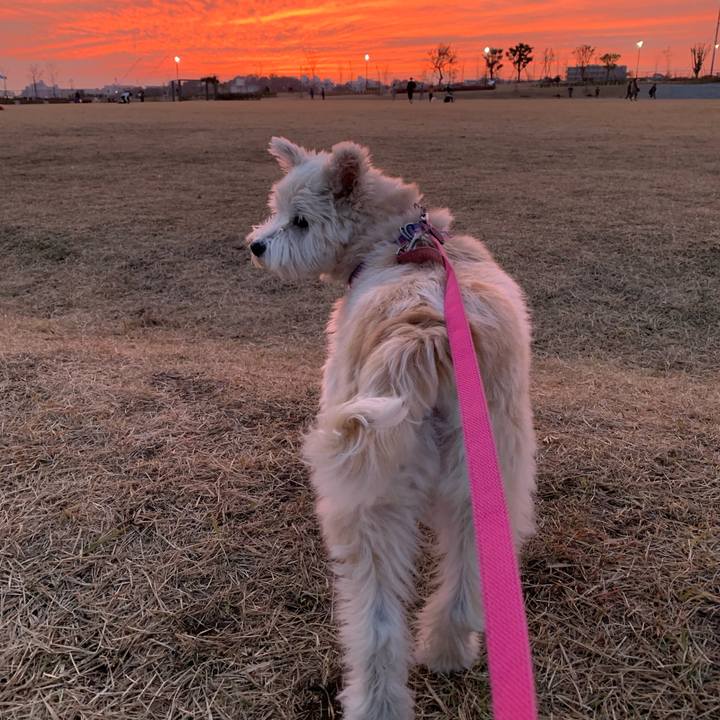 23f6c18e 82eb 4a9f b385 9f0692debc87 1637312245563