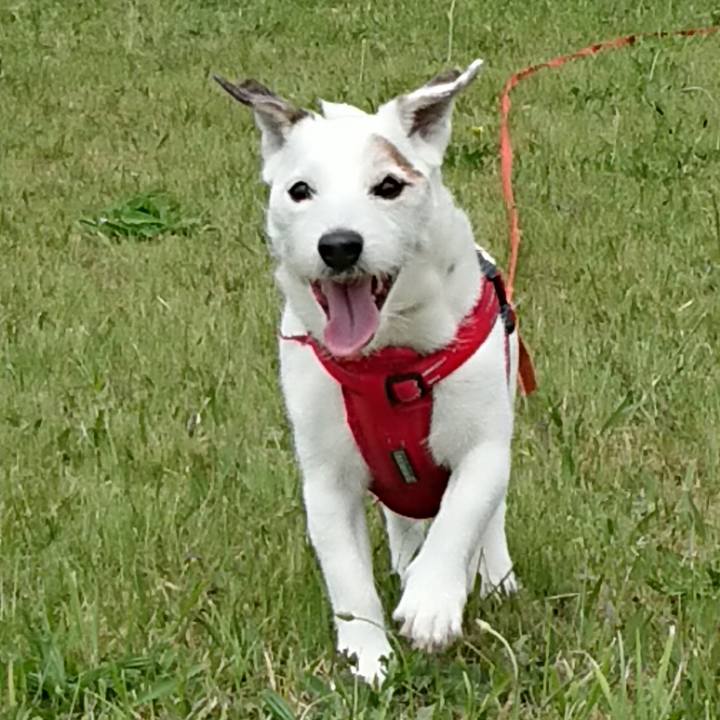 23f6c689 6f63 43e1 b863 24a12ba1b99c 1561505709556