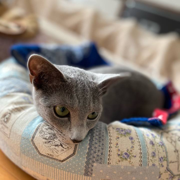 23f6d29a 3f23 4fcf 9b89 d47c8f8b4a2e 1607660524998