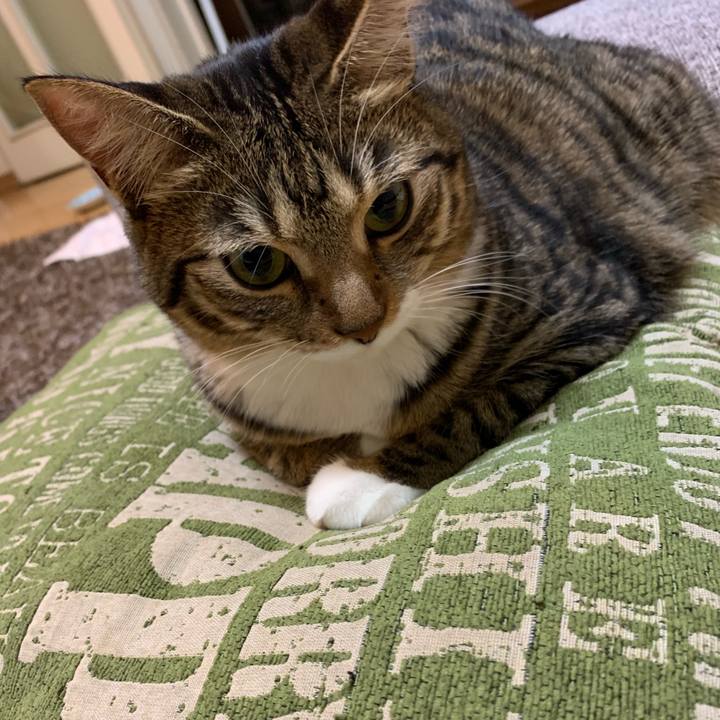 23f6e18d 1931 49aa b485 89a0b46e5e99 1546832961241