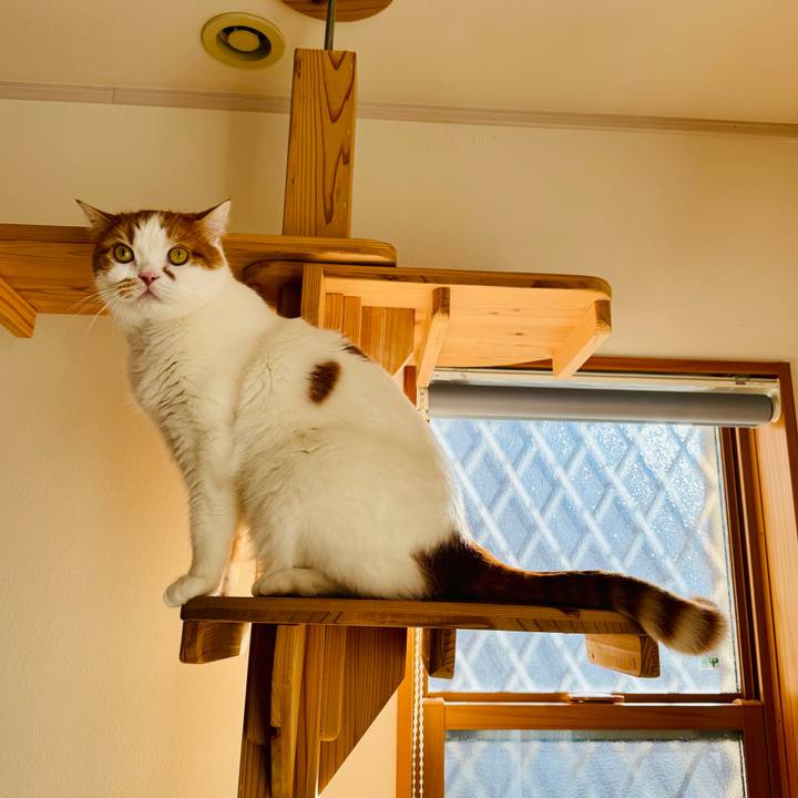 23f6f1d9 048f 4912 a196 d0387daa663c 1769567322836