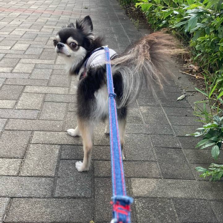 23f73d56 60fc 4cf0 ba10 c7bd4810fdf0 1716651851035