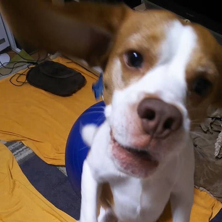 23f73d96 cb2f 4977 9e77 78a2daa01c64 1597732931833